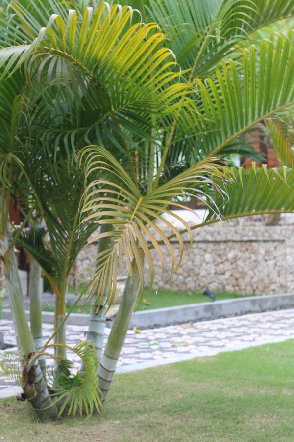 Gepah Garden Cottage Nusa Penida Eksteriør bilde